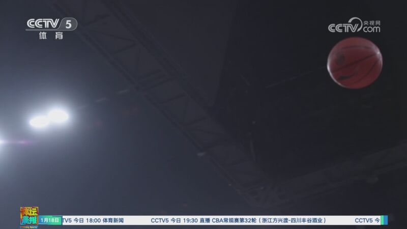 莱昂纳多的